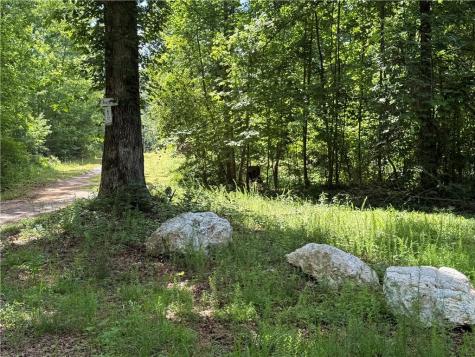 20 Ac Ellijay Road Talking Rock GA 30175