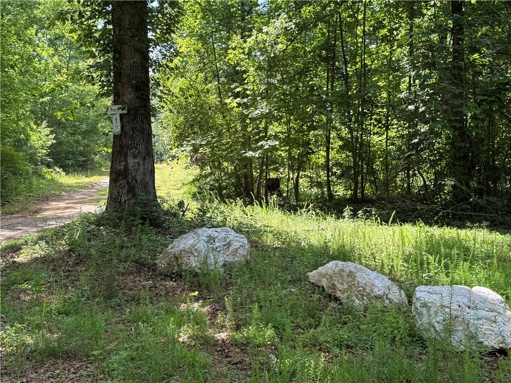 20 Ac Ellijay Road Talking Rock GA 30175