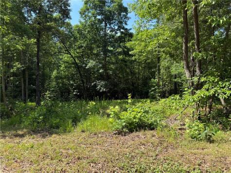 20 Ac Ellijay Road Talking Rock GA 30175