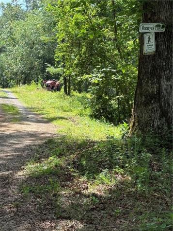 20 Ac Ellijay Road Talking Rock GA 30175
