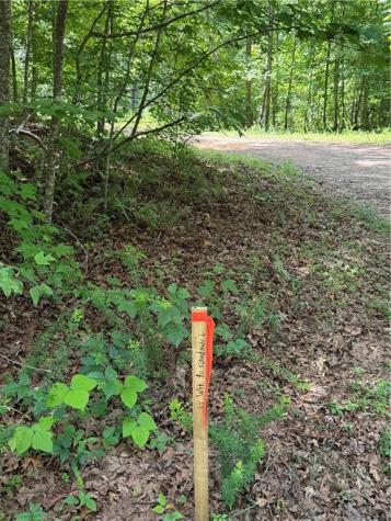 20 Ac Ellijay Road Talking Rock GA 30175