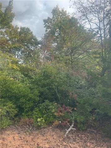 Lot 16 Brown Hawk Clayton GA 30525