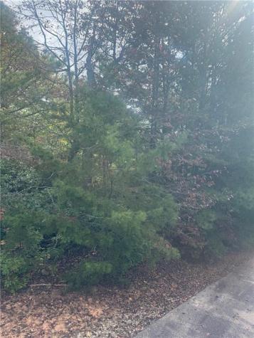 Lot 16 Brown Hawk Clayton GA 30525