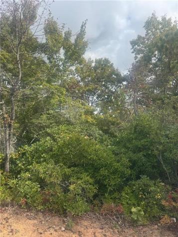 Lot 16 Brown Hawk Clayton GA 30525
