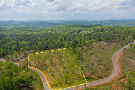 L349 Vineyard At Yukon Ellijay GA 30175