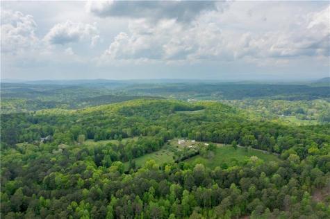 L349 Vineyard At Yukon Ellijay GA 30175