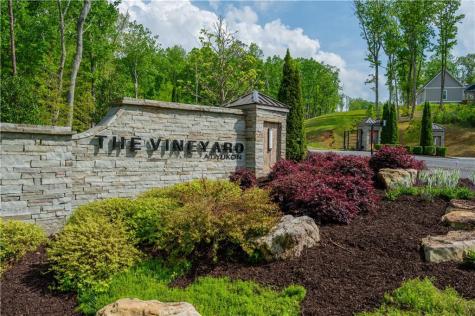 L349 Vineyard At Yukon Ellijay GA 30175