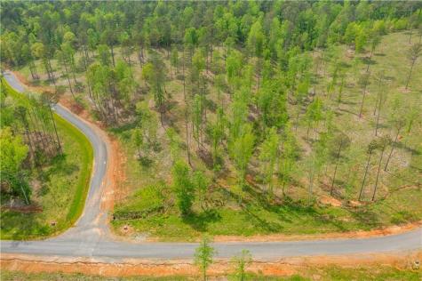 L349 Vineyard At Yukon Ellijay GA 30175