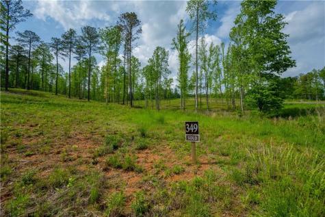 L349 Vineyard At Yukon Ellijay GA 30175