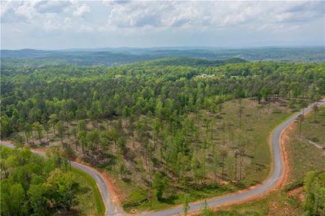 L349 Vineyard At Yukon Ellijay GA 30175
