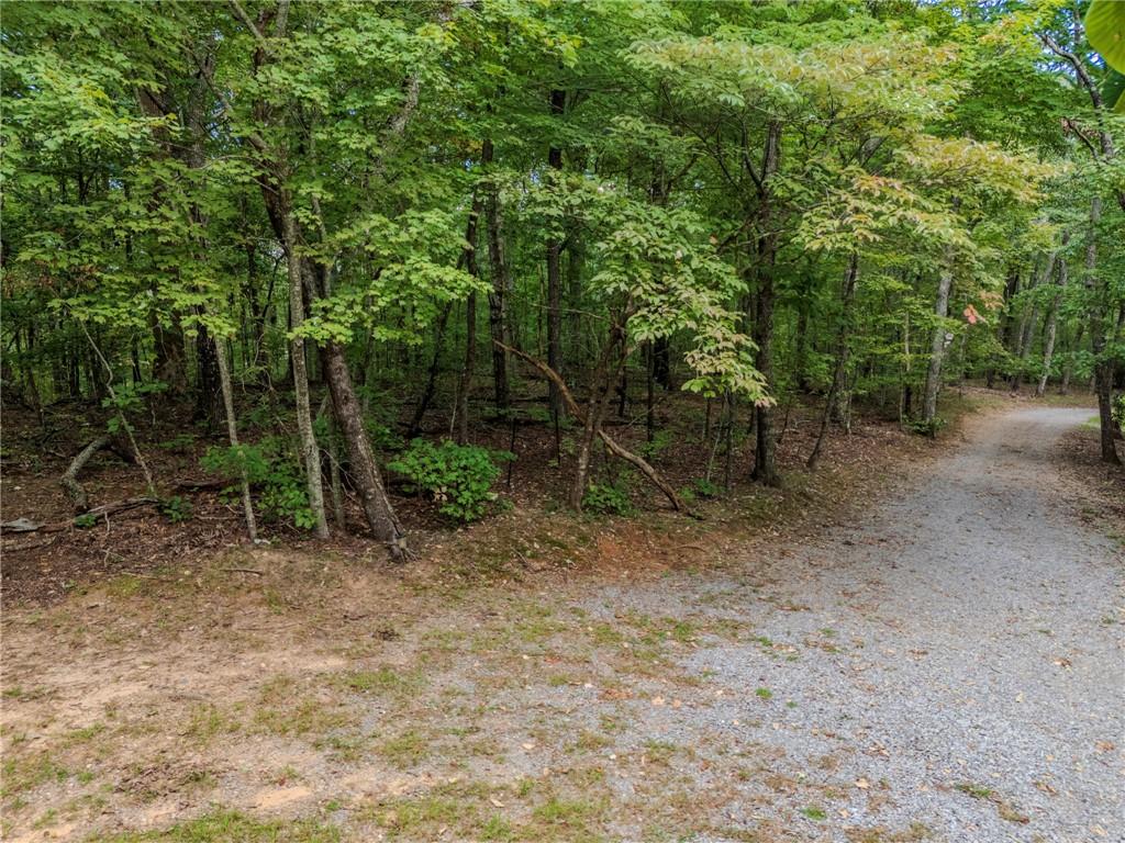 0 Clearview Drive Jasper GA 30143