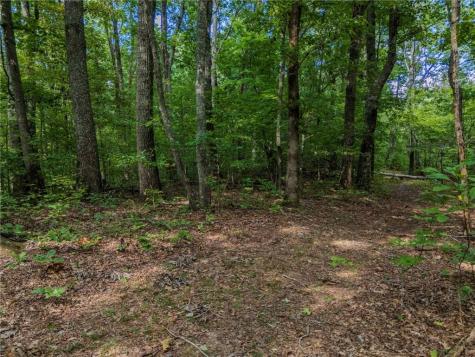 0 Clearview Drive Jasper GA 30143