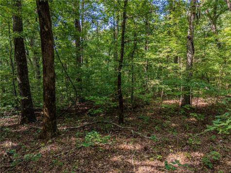 0 Clearview Drive Jasper GA 30143