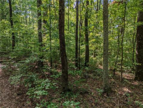 0 Clearview Drive Jasper GA 30143