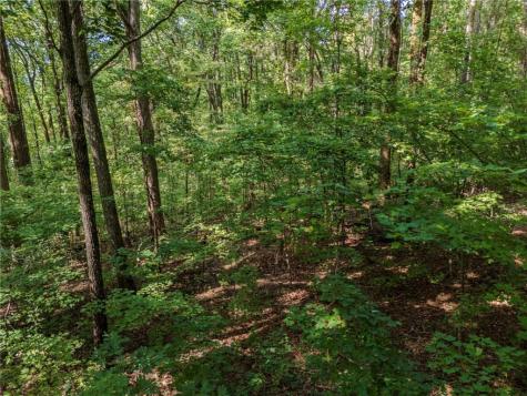 0 Clearview Drive Jasper GA 30143
