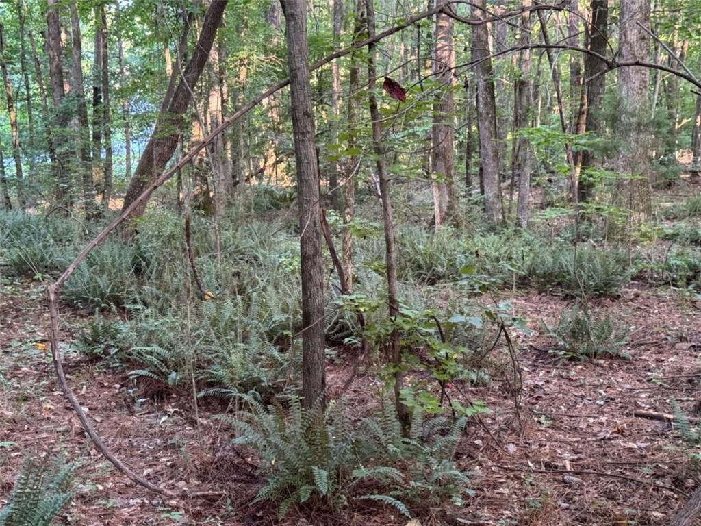 0 Lake Hampton Drive Hampton GA 30228