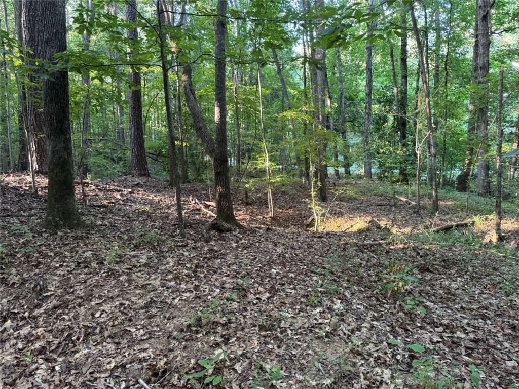 0 Lake Hampton Drive Hampton GA 30228