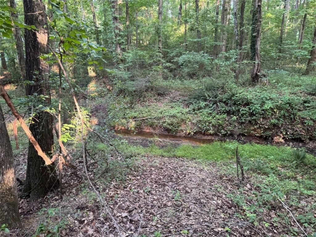 0 Lake Hampton Drive Hampton GA 30228