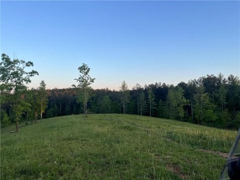 Lot 2 Highway 52 W Dahlonega GA 30533