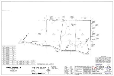 Lot 2 Highway 52 W Dahlonega GA 30533