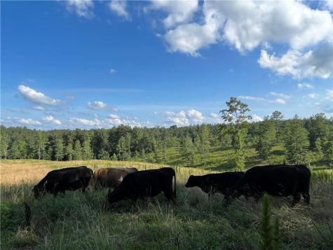 Lot 2 Highway 52 W Dahlonega GA 30533