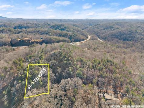 0 Golden Lot 1 Avenue Dahlonega GA 30533