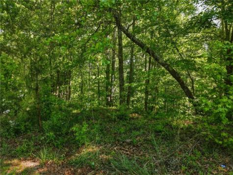 Lot 7 Summit Drive Dahlonega GA 30533