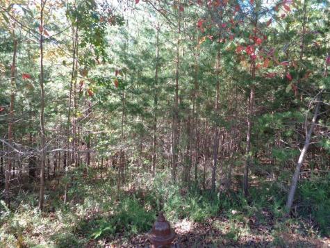 2474 Wedgewood Drive Big Canoe GA 30143