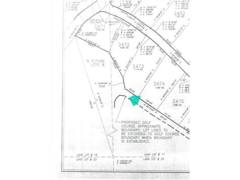 2474 Wedgewood Drive Big Canoe GA 30143