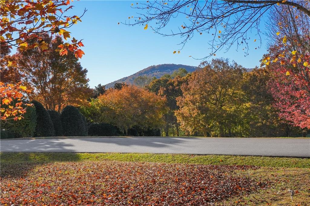 0 Rome Beauty Lane, Lot 4 Clarkesville GA 30523