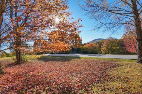 0 Rome Beauty Lane, Lot 4 Clarkesville GA 30523