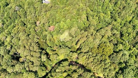 150 Waleska Woods Road Waleska GA 30183