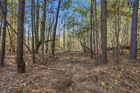 000 Lower Dowda Mill Road Jasper GA 30143