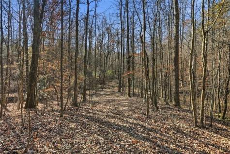 000 Lower Dowda Mill Road Jasper GA 30143