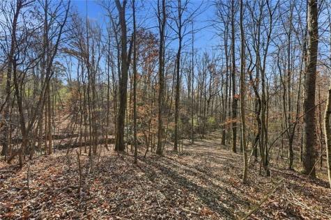 000 Lower Dowda Mill Road Jasper GA 30143