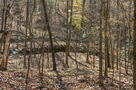 000 Lower Dowda Mill Road Jasper GA 30143