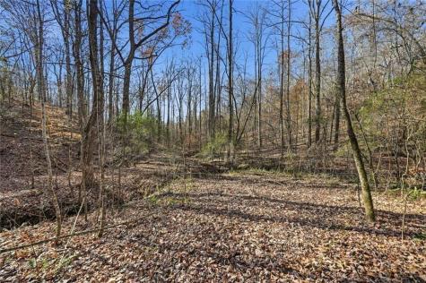 000 Lower Dowda Mill Road Jasper GA 30143