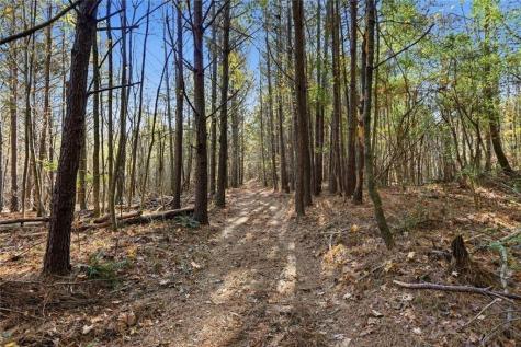 000 Lower Dowda Mill Road Jasper GA 30143
