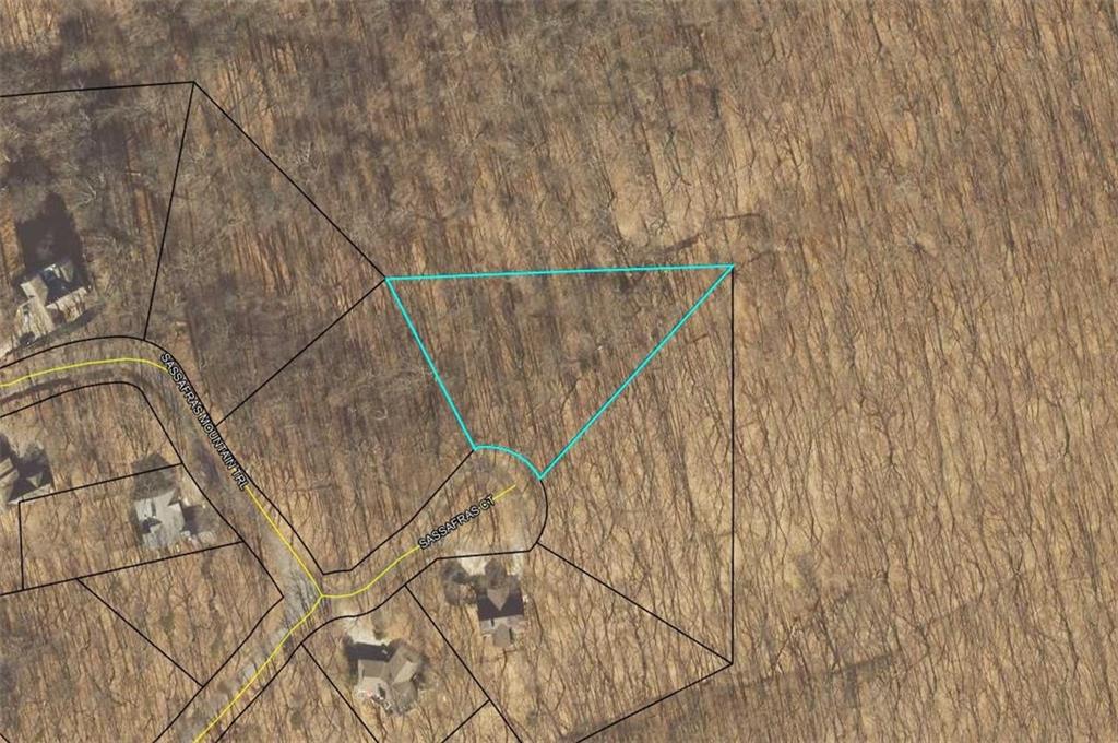 0 Sassafras Court Jasper GA 30143