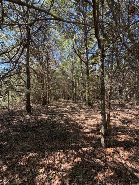 0 Whispering Creek Trail Hartwell GA 30643