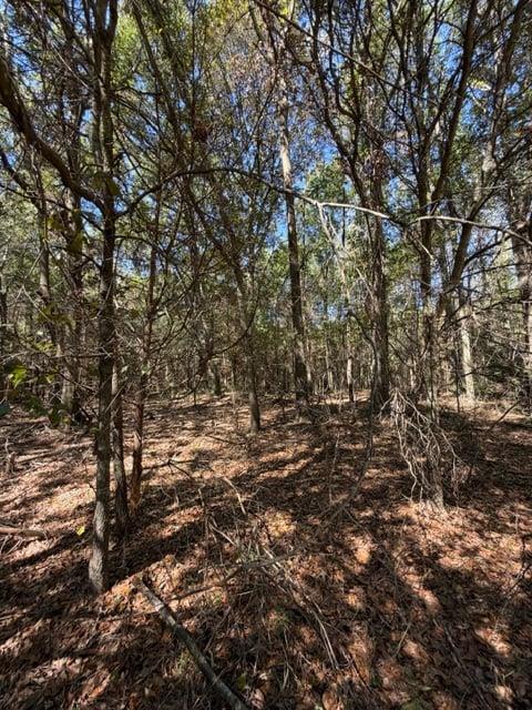 0 Whispering Creek Trail Hartwell GA 30643