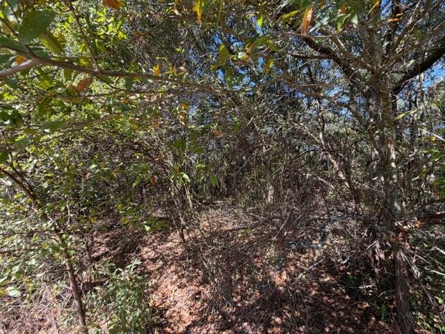 0 Whispering Creek Trail Hartwell GA 30643