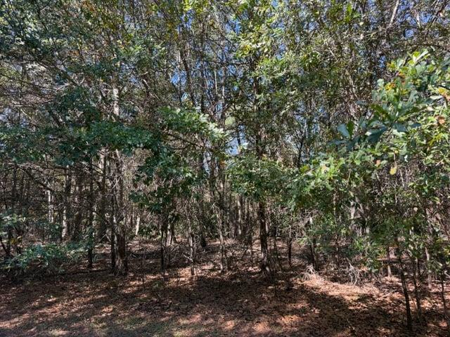 0 Whispering Creek Trail Hartwell GA 30643