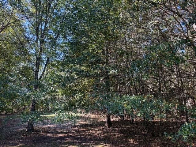 0 Whispering Creek Trail Hartwell GA 30643