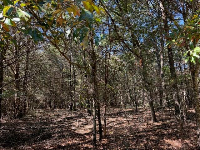0 Whispering Creek Trail Hartwell GA 30643
