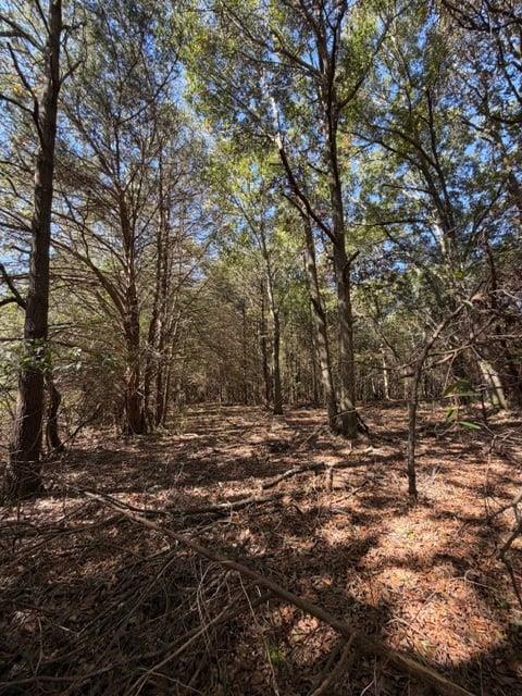 0 Whispering Creek Trail Hartwell GA 30643
