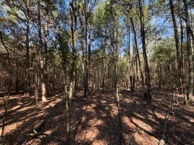 0 Whispering Creek Trail Hartwell GA 30643