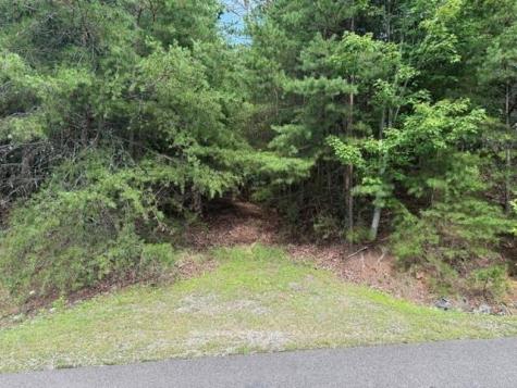 0 Owl Ridge Way Jasper GA 30143
