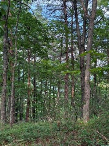 0 Owl Ridge Way Jasper GA 30143