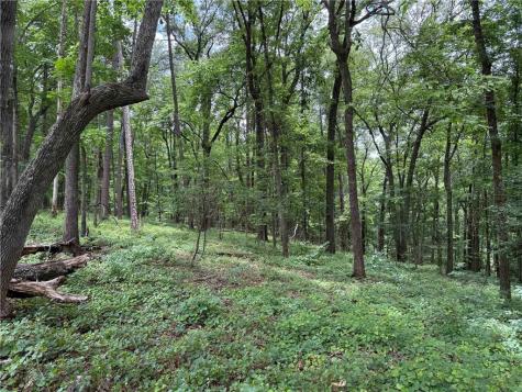 17 Norton Trail Dahlonega GA 30533